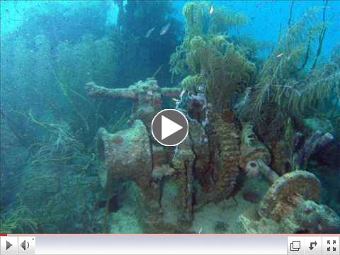 Roatan Wreck of the Prince Albert