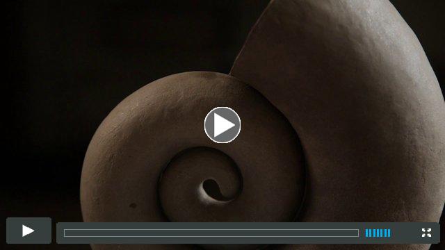 Christine Nofchissey McHorse - Dark Light