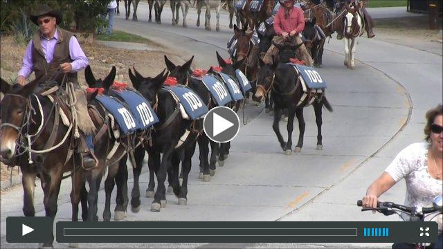 100 Mules Stonehurst Ave onto Sunland Blvd