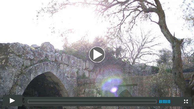 The Abrahamic Reunion / Journey for TuBishvat