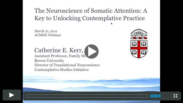 The Neuroscience of Somatic Attention