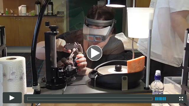 Worldwide Gems: Faceting Introduction course