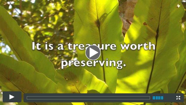 ORANGUTAN LEGACY FORESTIncluding the Kubu Village Forest