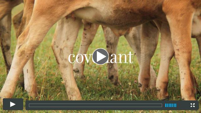 Covenant Trailer