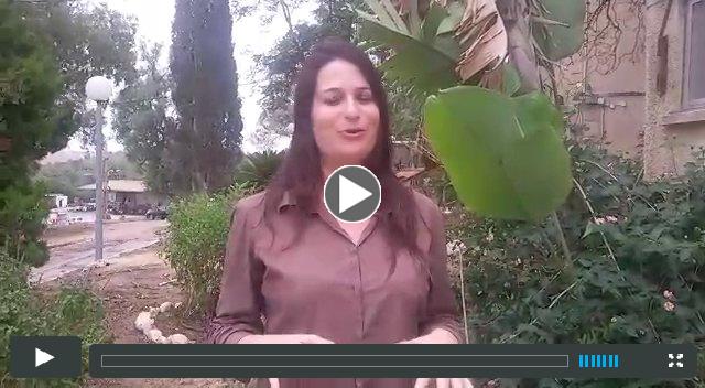 VID-20141102-WA0005