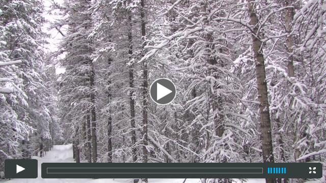 Mike Curiak`s video diary of his thoughts while transversing the Iditarod Trail 