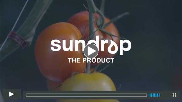 Sundrop - The Produce