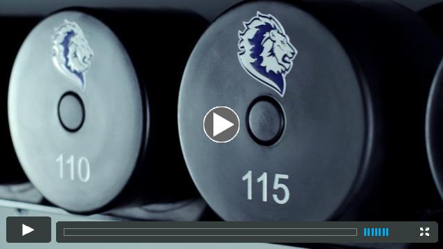 Preview The Lion Cage