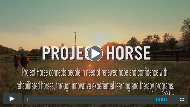 Project Horse: Lessons Revealed by a Horse's Heart