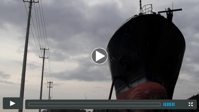 Tohoku Japan - Hope for living