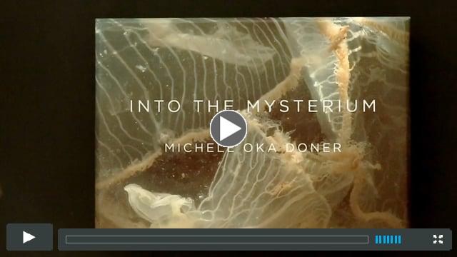 Video Preview of 