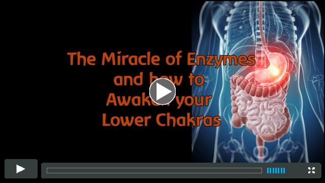Miracle of Enzymes