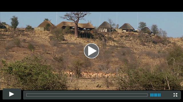 Tracks of Giants: Botswana