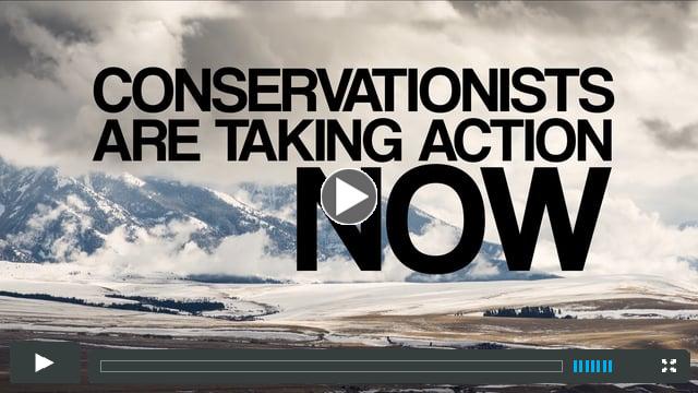 Promotional video for WCS Fund