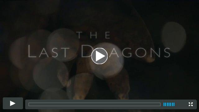 The Last Dragons - Protecting Appalachia's Hellbenders