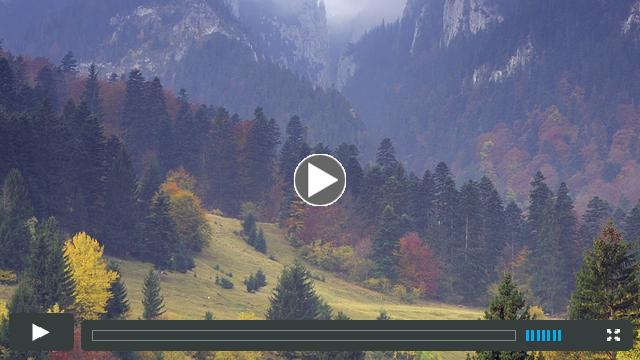 WILD10 Introductory Video