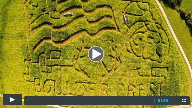Corn Maze at the Great Country Farms