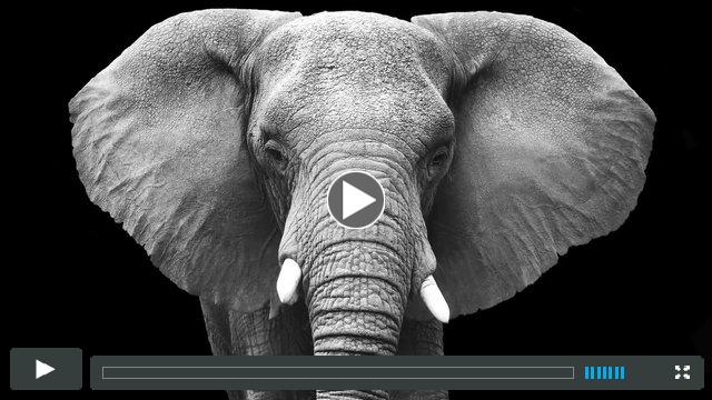 Conservation24 - Elephant Conservation PSA