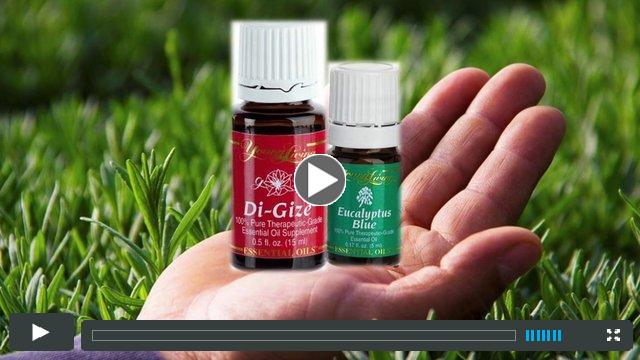 Optimize digestion and breathe easier with DiGize or Eucalyptus Blue
