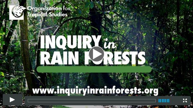 Inquiry in Rain Forests 2013: Testimonials and encouragement for potential applicants
