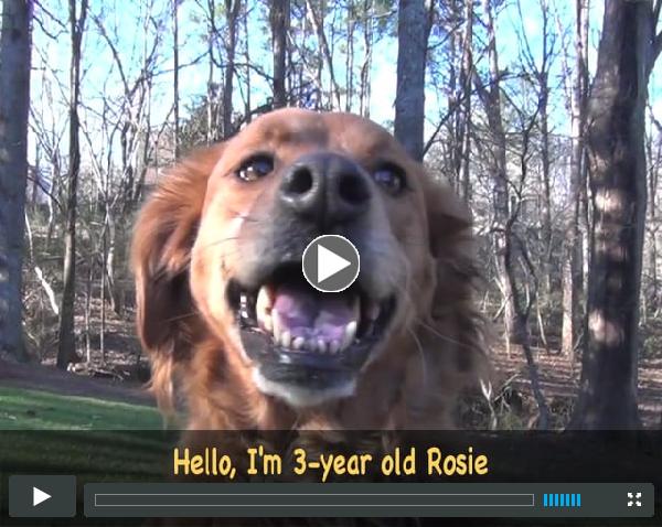 Feb Orphan of the Month - Meet Rosie