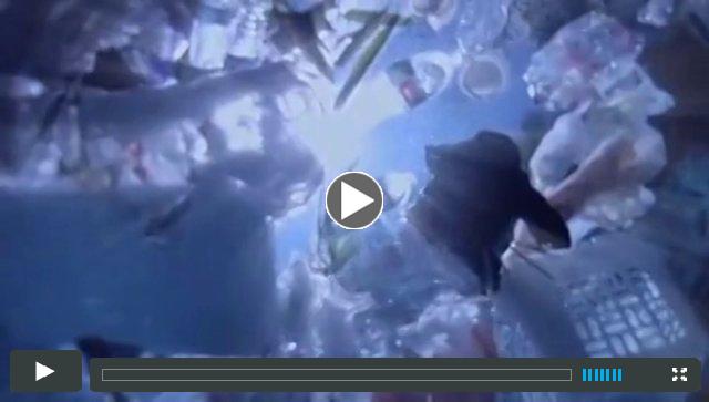 Plastic Paradise: The Great Pacific Garbage Patch Trailer