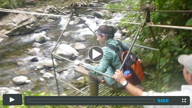 Bioprospecting and Biofuels - Connecting Classrooms with Bioenergy Research