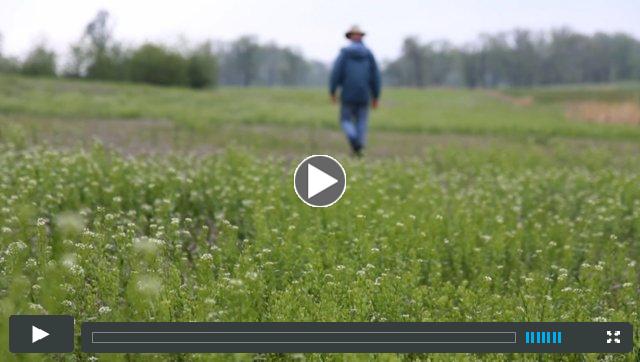 Preview for Mumford Farms