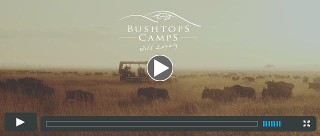 Watch the Roving Bushtops Video Here