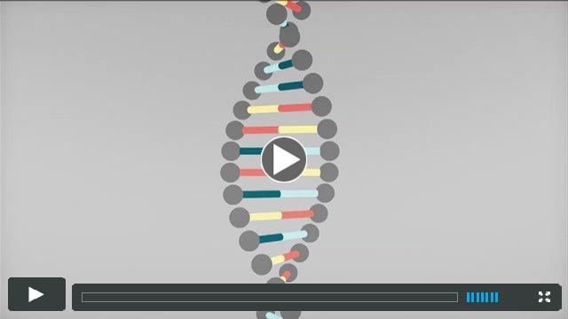 BBC Knowledge Explainer DNA