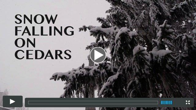 Snow Falling on Cedars at Bainbridge Performing Arts