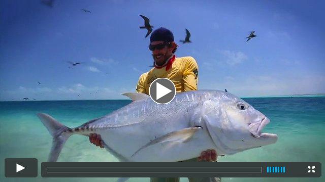320 Trailer - Fly Fishing with Capt. Jako Lucas