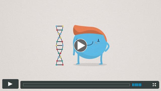 Autosomal Recessive Conditions
