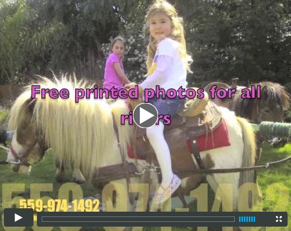 Television Show featuring historical sites narrated by Wild Bill his son and his mini horses