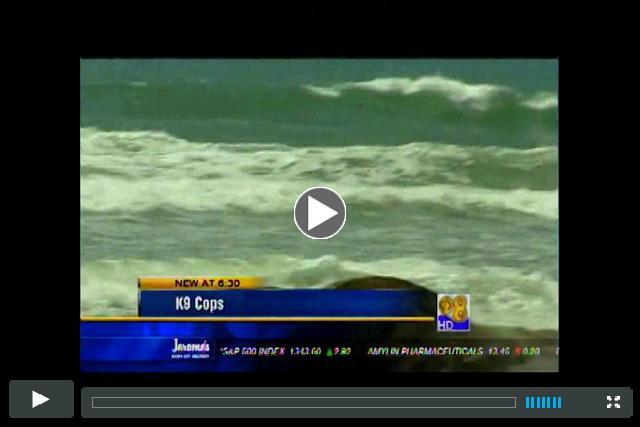 San Diego County Sheriff's K-9 Unit on News8