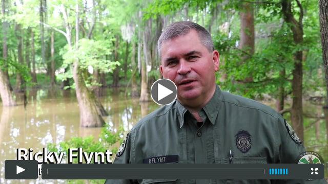 2017 Alligator Hunting Season Application Process