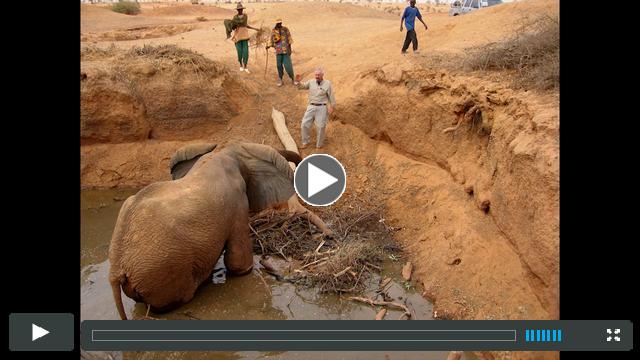 Mali Elephant Project