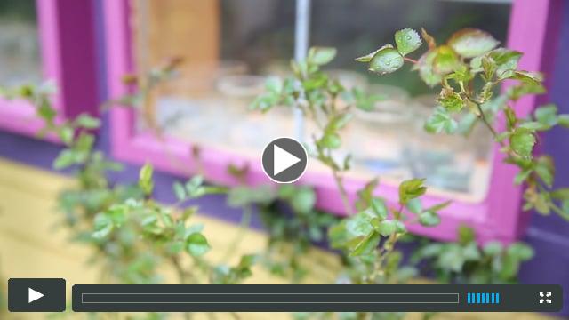 Marcia Wiley & Wileyware