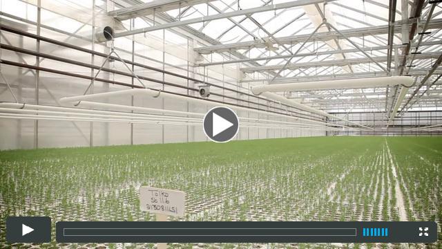 Pineland Forest Nursery