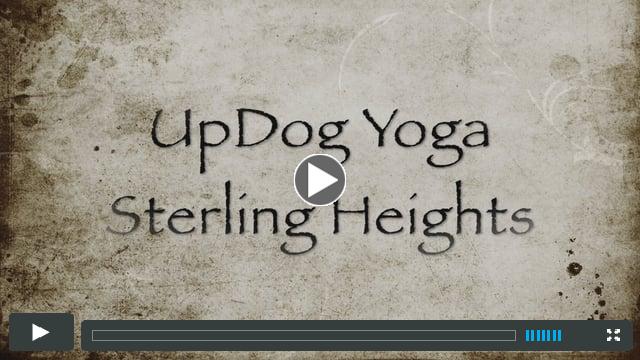 UpDog Yoga Sterling Hgts.