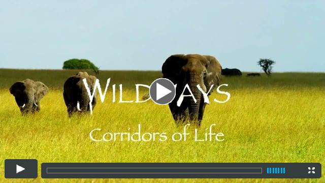 Wild Ways Trailer and Prologue