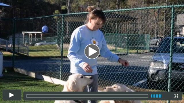 Neyland and Tucker - Orphans of the Month