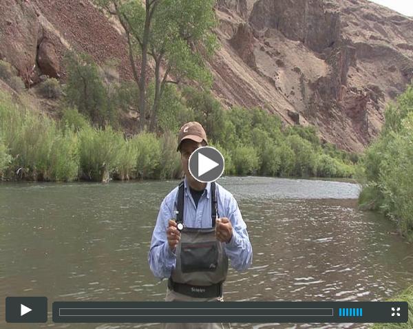 How to use a Furled Dry Fly Leader