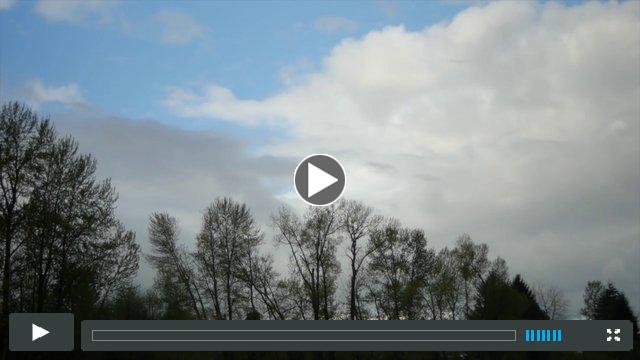 Whitaker Ponds: A Forest Among Factories