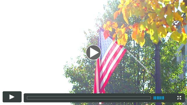 Campaign Teaser