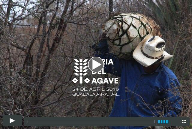 FERIA DEL AGAVE 2016
