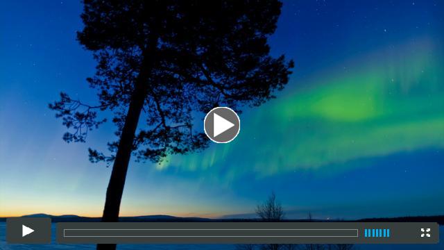 The Aurora
