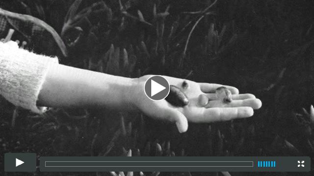 Dorothea Lange: Grab A Hunk of Lightning Teaser Trailer