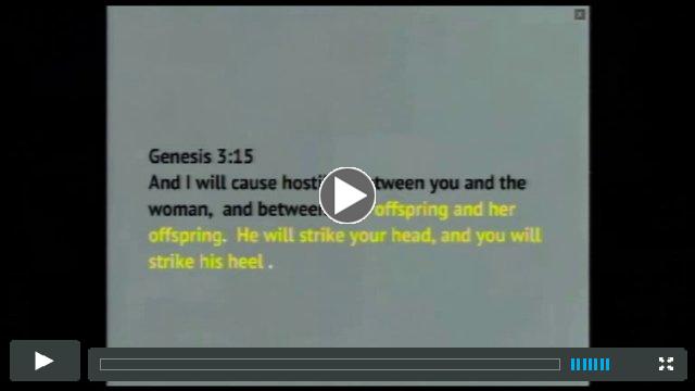 AMEN - Chapter 1