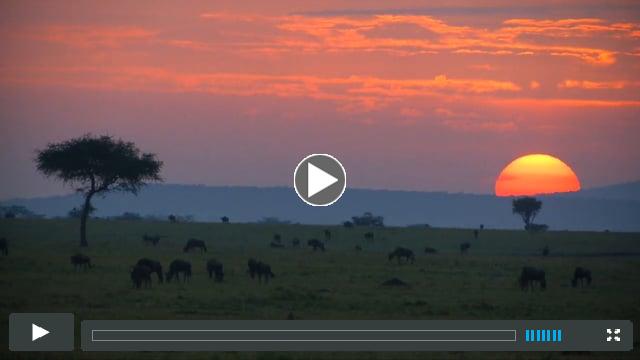 KENYA - CONSERVANCY TOURISM